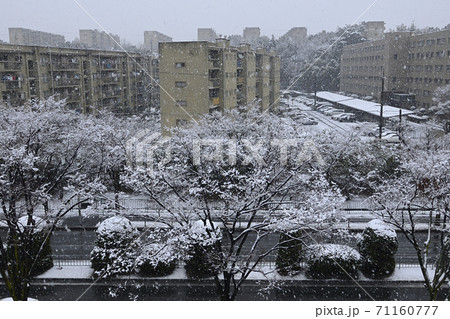 千里ニュータウン藤白台（大阪府吹田市）の府公社藤白台B団地・千里丘陵G団地・千里メゾネット 71160777