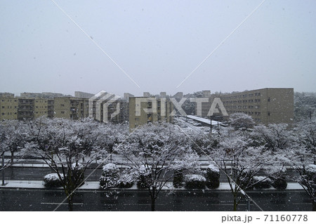 千里ニュータウン藤白台（大阪府吹田市）の府公社藤白台B団地・千里丘陵G団地・千里メゾネット 71160778