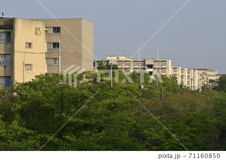 千里ニュータウン藤白台(大阪府吹田市)の府公社藤白台B団地・千里メゾネット・府営千里藤白台住宅 千里ニュータウン藤白台(大阪府吹田市)の府公社藤白台B団地・千里メゾネット・府営千里藤白台住宅 71160850
