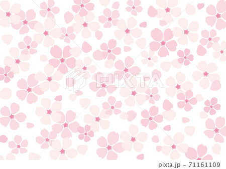 桜 花びら イラスト 背景のイラスト素材