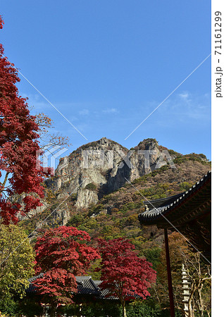 白羊寺 山 紅葉 71161299