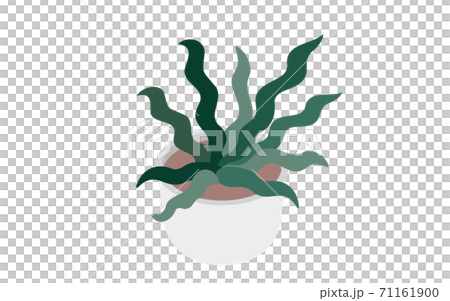 Undulating foliage plants and flowerpots isometric 71161900