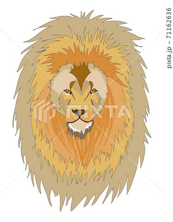 たてがみが立派なライオンの顔アップ 白背景 のイラスト素材