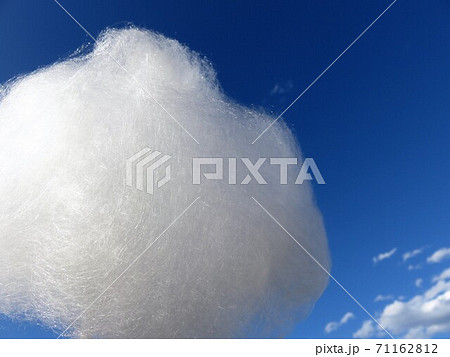 わたがし わたがし 71162812