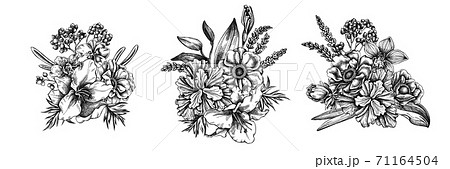 Flower bouquet of black and white anemone, lavender, rosemary everlasting, phalaenopsis, lily, iris 71164504