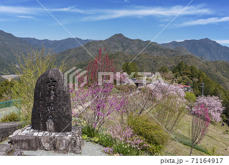 桜咲く果無集落　春の熊野古道　日本の里100選　十津川村観光スポット　世界遺産の村 71164917