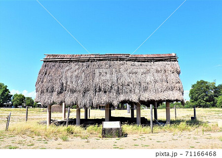 史跡池上曽根遺跡・池上曽根史跡公園 史跡池上曽根遺跡・池上曽根史跡公園 71166468