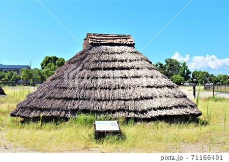 史跡池上曽根遺跡・池上曽根史跡公園 71166491