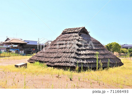 史跡池上曽根遺跡・池上曽根史跡公園 史跡池上曽根遺跡・池上曽根史跡公園 71166493