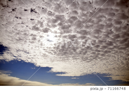 びっしりと太陽を覆う、うろこ雲。美しい秋雲。季節は紅葉色づく頃。もみじつたきばむ。空の背景素材 71166748