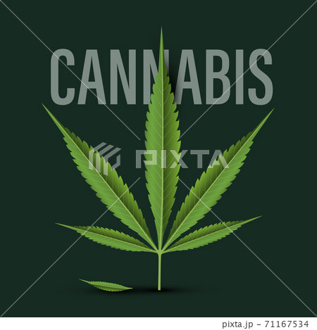 Cannabis Leaf Design On Dark Backgroudのイラスト素材