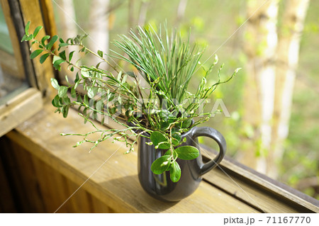 green branches in a black vase green branches in a black vase 71167770