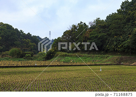 横浜市の田舎戸塚区舞岡ふるさと公園原風景の秋 71168875