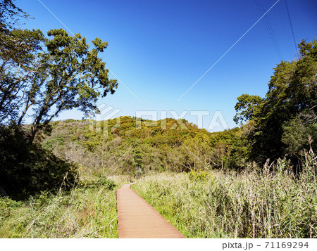 首都圏関東の秘境湘南三浦半島の原風景三浦市小網代の森の秋 71169294