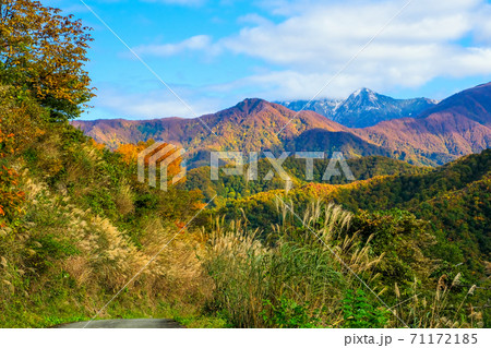 紅葉の高原と八海山 紅葉の高原と八海山 71172185