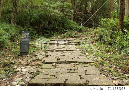 岩村城の登山道(初門跡) 岩村城の登山道(初門跡) 71173363