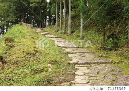 岩村城の登山道（土岐門跡） 71173365