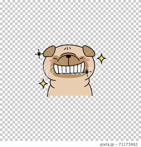 Pug with glittering teeth Pug with glittering teeth 71173982