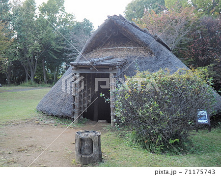 歳勝土遺跡公園 歳勝土遺跡公園 71175743