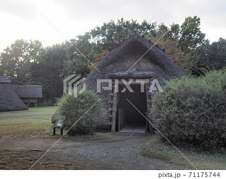 歳勝土遺跡公園 歳勝土遺跡公園 71175744