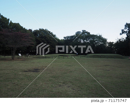 歳勝土遺跡公園 歳勝土遺跡公園 71175747