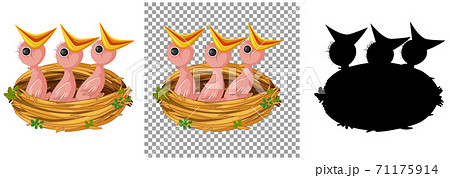 Hungry chick waiting for food in the nest 71175914