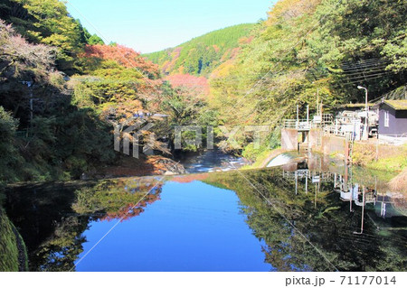 水面に反射する青い空と鮮やかな紅葉 71177014