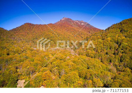 雨飾高原からみた壮大で美しい紅葉に覆われる雨飾山　長野県小谷村（ドローンによる空撮） 71177153