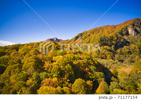 雨飾高原からみた壮大で美しい紅葉に覆われる大渚山　長野県小谷村（ドローンによる空撮） 71177154