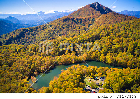 壮大で美しい紅葉に包まれる大渚山と鎌池 長野県小谷村(ドローンによる空撮) 壮大で美しい紅葉に包まれる大渚山と鎌池 長野県小谷村(ドローンによる空撮) 71177158