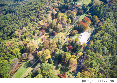 大峰高原の美しい紅葉　長野県池田町（ドローンによる空撮） 71177190