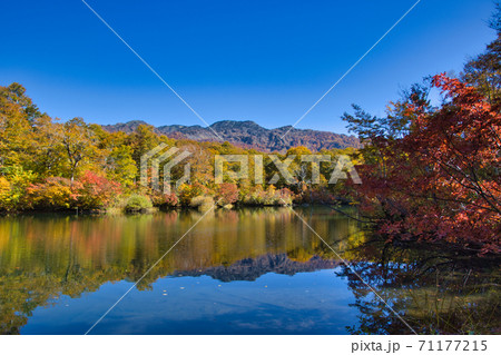 壮大で美しい紅葉に包まれる鎌池　長野県小谷村 71177215