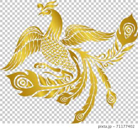 鳳凰/鳳凰插圖 71177402