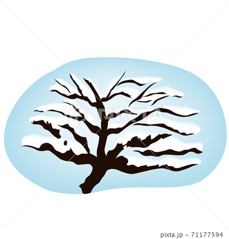 木の枝に雪のイラスト 冬のイメージ挿絵 のイラスト素材