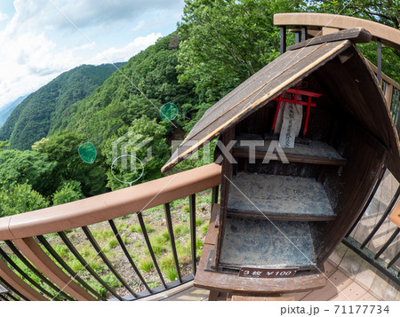 妙見山リフトの紫陽花 71177734