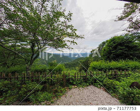 妙見山リフトの紫陽花 71177753