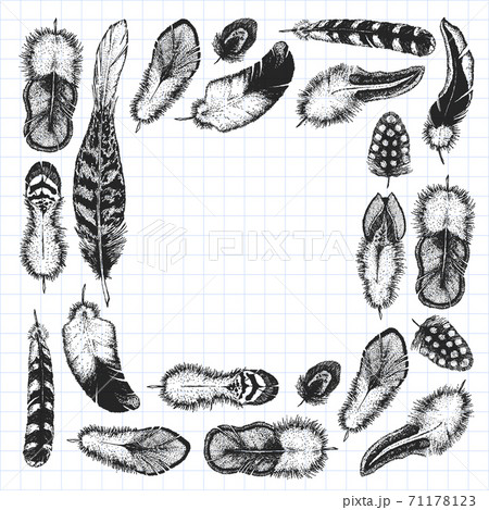 Set of ethnic feathers. Decoration design. Birds feathers, boho chic style. Tribal ornament pattern. Set of ethnic feathers. Decoration design. Birds feathers, boho chic style. Tribal ornament pattern. 71178123