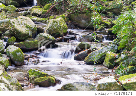 秋の野河内渓谷（のごうちけいこく）　福岡県福岡市 71179171