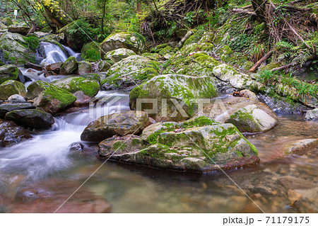 秋の野河内渓谷（のごうちけいこく）　福岡県福岡市 71179175