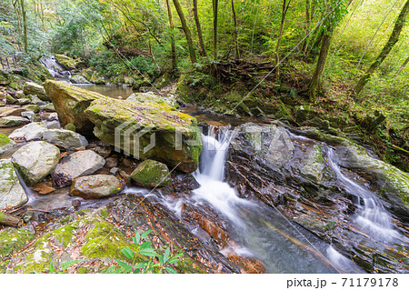 秋の野河内渓谷（のごうちけいこく）　福岡県福岡市 71179178