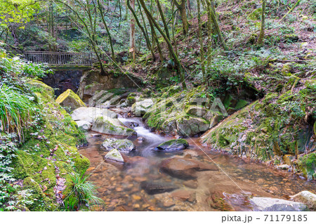 秋の野河内渓谷(のごうちけいこく) 福岡県福岡市 秋の野河内渓谷(のごうちけいこく) 福岡県福岡市 71179185