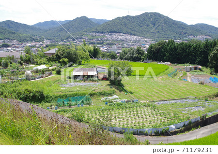 筆の里工房のから眺めた熊野町の景色 71179231