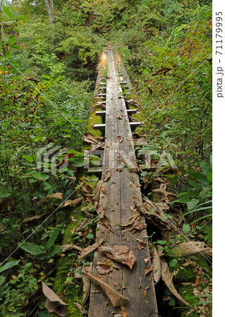 沢を渡る木の橋－滝沢川沿い　福島県金山町 71179995