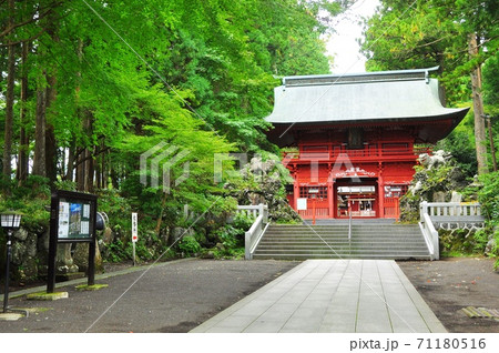 富士山東口本宮・須走口登山道　冨士浅間神社の表参道と神門 71180516