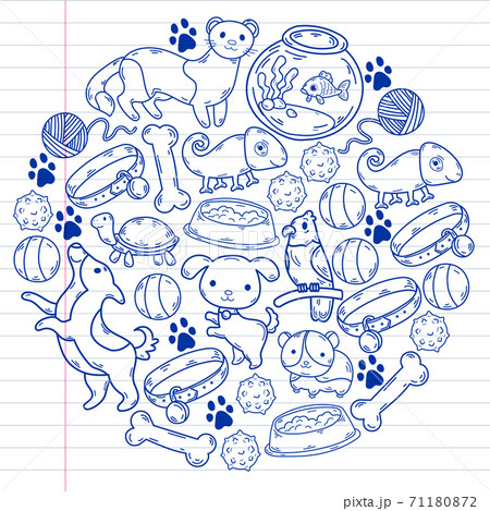 Veterinary clinic, zoo, pet shop. Cats, dogs, fish, parrot. Toys for animals, animal care. 71180872