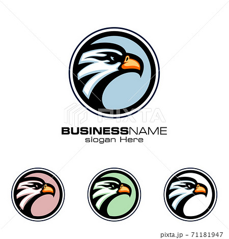 Eagle Logo, vector Wild eagle Bird Falcon Hawk isolated on a white background Eagle Logo, vector Wild eagle Bird Falcon Hawk isolated on a white background 71181947