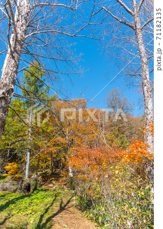 有峰の紅葉 有峰の紅葉 71182135