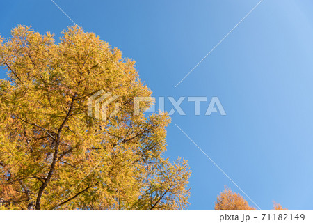 有峰の紅葉 有峰の紅葉 71182149