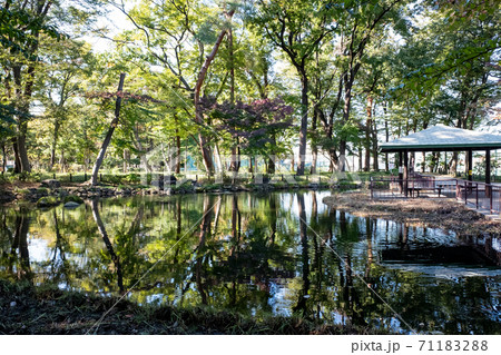 塚山公園の風景（東京都杉並区下高井戸） 71183288