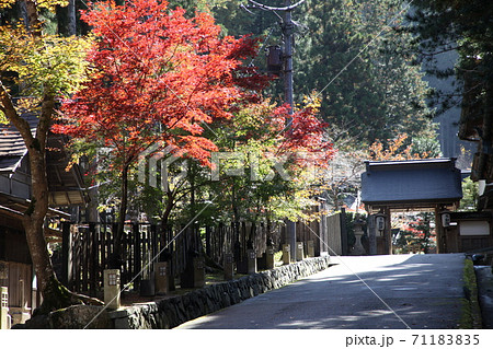秋の高野山 秋の高野山 71183835